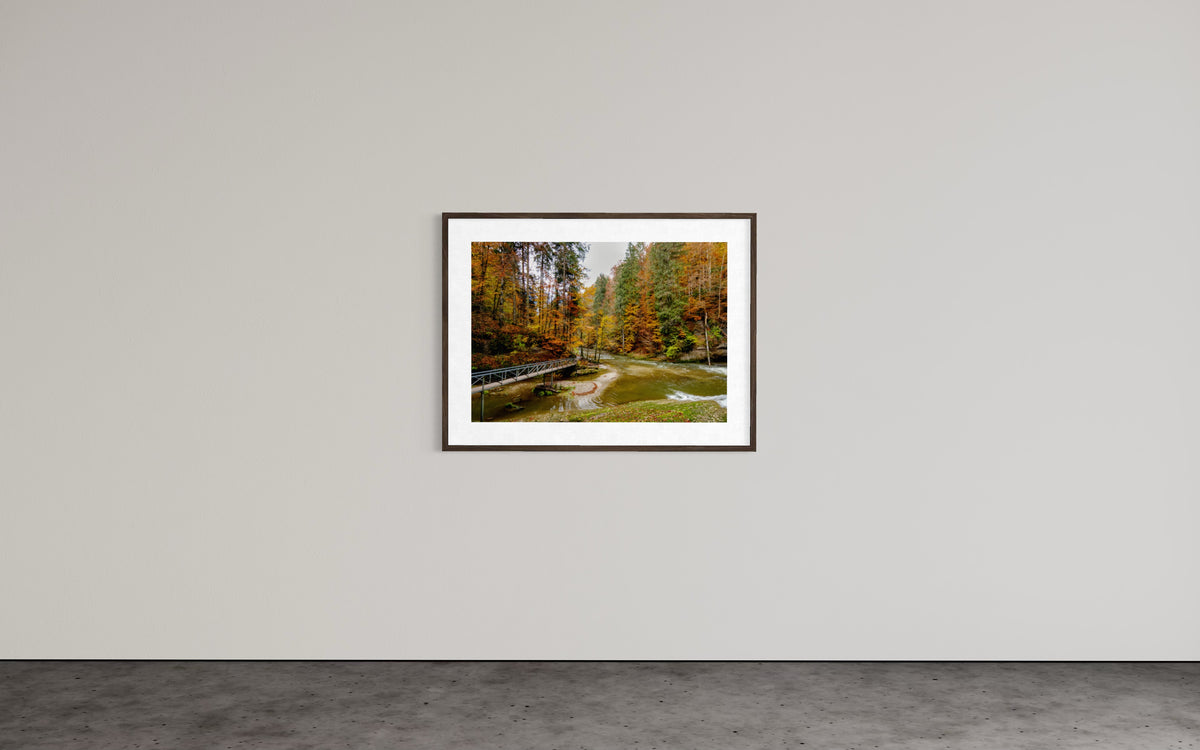 Die Wutachschlucht im Herbst