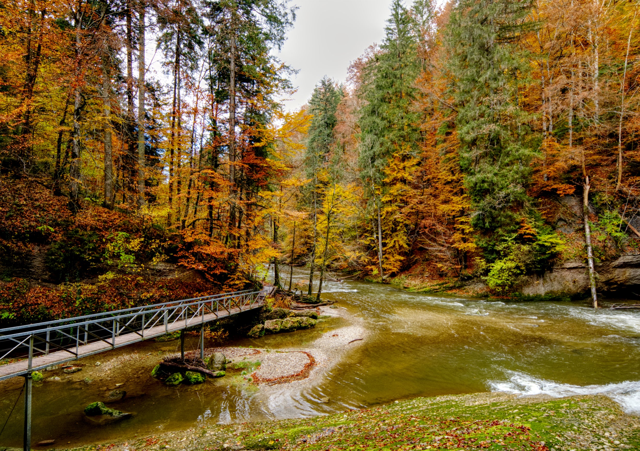Fine Art Print einer goldenen Oktober Naturfotografie in der Wutachschlucht im Schwarzwald, links führt eine kleine Brücke über den Fluss, die Bäume erstrahlen in herbstlichen Farben